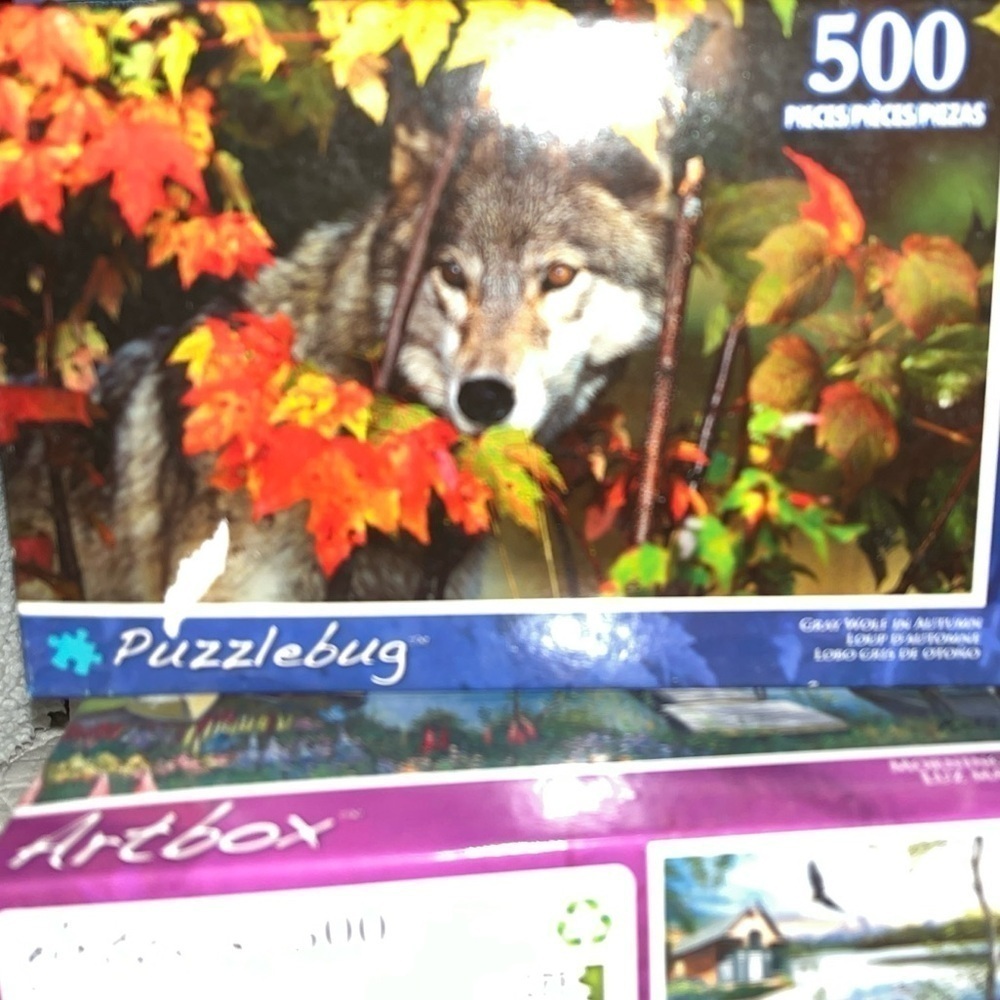 New Puzzlebug Jigsaw Puzzle Old Gray Wolf  in Autumn Vermont 500 Pieces 18.25x11